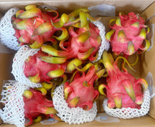 将图片加载到图库查看器,新鲜红心火龙果约7-8个10磅+