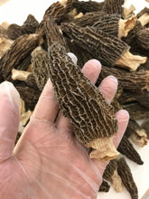 将图片加载到图库查看器,特级羊肚菌大号 半磅/包