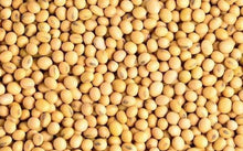 将图片加载到图库查看器,黄豆 (大豆)10磅/份