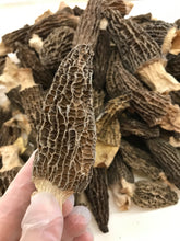 将图片加载到图库查看器,特级羊肚菌大号 半磅/包