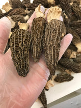 将图片加载到图库查看器,特级羊肚菌大号 半磅/包