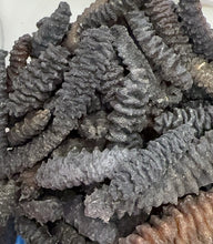 将图片加载到图库查看器,(海参)智利刺参约13-15只/半磅