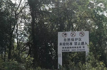 将图片加载到图库查看器,红茶 古树晒红.初心 200克/饼*5饼/提