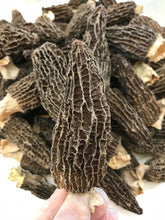 将图片加载到图库查看器,特级羊肚菌大号 半磅/包