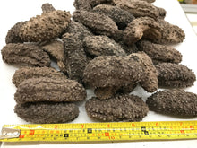 将图片加载到图库查看器,(海参)墨西哥腰参约28-30只