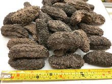 将图片加载到图库查看器,(海参)墨西哥腰参约28-30只
