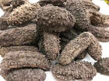 将图片加载到图库查看器,(海参)墨西哥腰参约28-30只