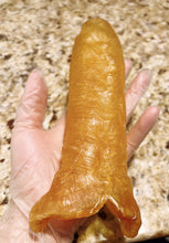 将图片加载到图库查看器,鱼胶 (黄花胶)特大号 5-6头