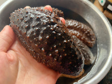 将图片加载到图库查看器,(海参)墨西哥腰参约28-30只