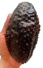 将图片加载到图库查看器,(海参)墨西哥腰参约28-30只