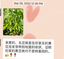 将图片加载到图库查看器,黄豆 (大豆)10磅/份