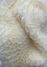 将图片加载到图库查看器,农场新鲜牛百叶 3.9-4磅/份