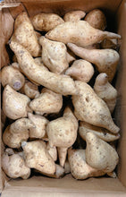 将图片加载到图库查看器,夏威夷白皮紫薯约5磅/份
