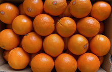 将图片加载到图库查看器,大双喜橙28个/箱约18-19磅