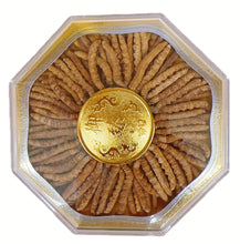 将图片加载到图库查看器,西藏那曲冬虫夏草 半两/25克/盒