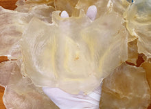 将图片加载到图库查看器,鱼胶(花胶) 特大号蝴蝶胶 3-4头