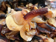 将图片加载到图库查看器,响螺头(螺肉干 、螺嘴、螺头)1磅