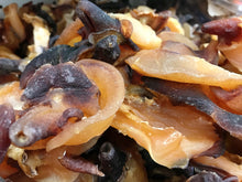 将图片加载到图库查看器,响螺头(螺肉干 、螺嘴、螺头)1磅