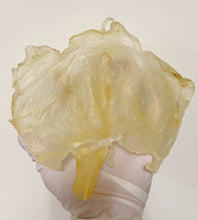 将图片加载到图库查看器,鱼胶(花胶) 特大号蝴蝶胶 3-4头