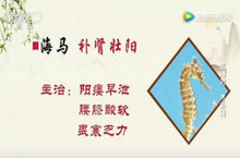 将图片加载到图库查看器,野生海马干