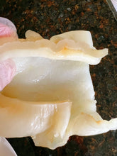 将图片加载到图库查看器,鱼胶 (黄花胶)25-28头/磅