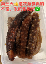 将图片加载到图库查看器,野生阿拉斯加红参(海参)特惠1磅20-25只