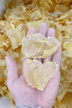 将图片加载到图库查看器,鱼胶(花胶) 小号蝴蝶胶 75-78头