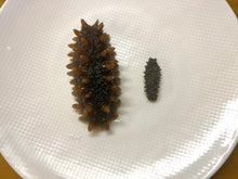 将图片加载到图库查看器,(海参)日本小号刺参1磅约110-120只