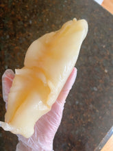 将图片加载到图库查看器,鱼胶 (黄花胶)25-28头/磅