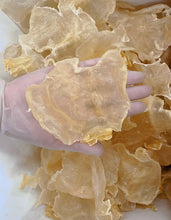 将图片加载到图库查看器,鱼胶(花胶)蝴蝶胶 约12-14头/磅