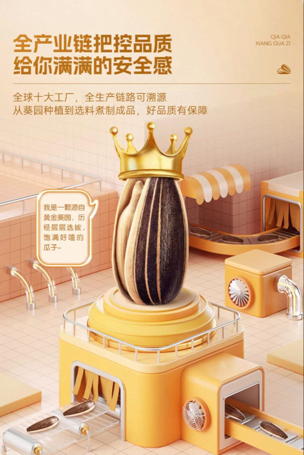 洽洽瓜子（五香味）