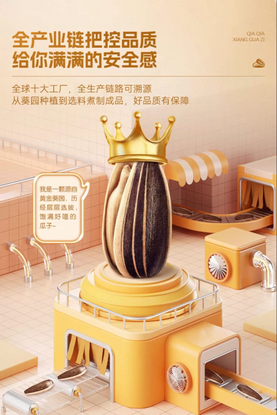 洽洽瓜子（五香味）