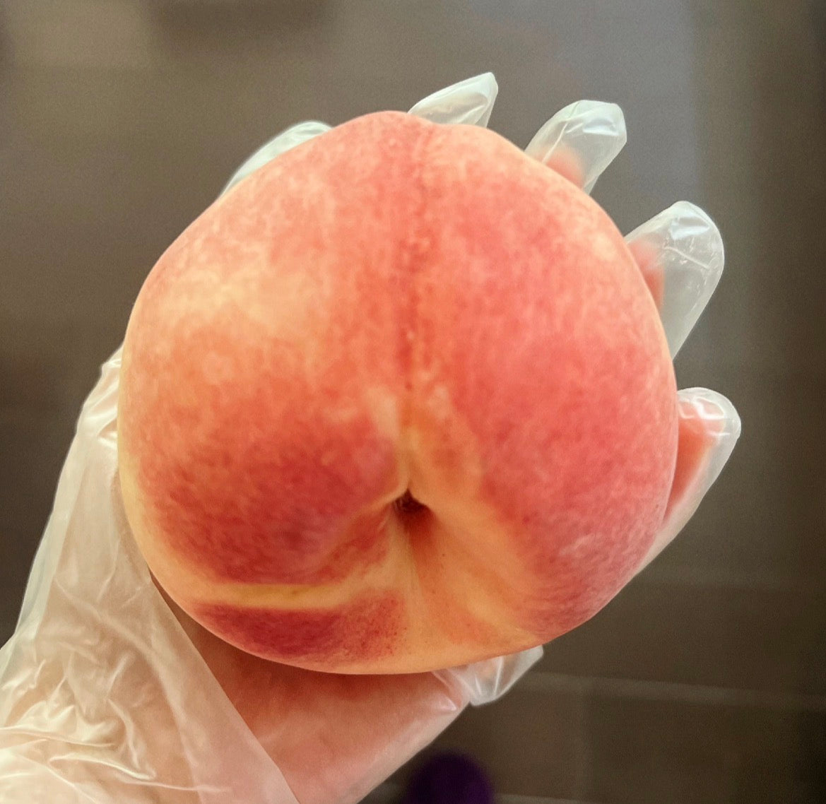 精品大白桃约十磅17-18个/箱