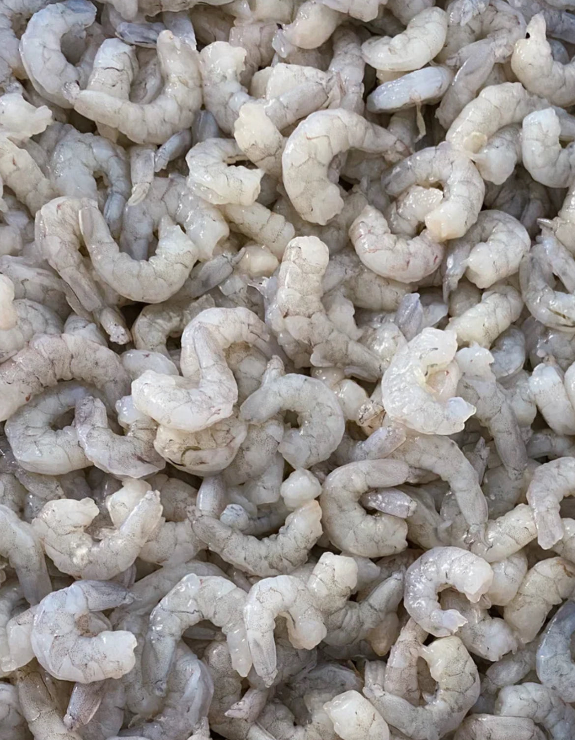 新品 全麦和牛鲜虾胡萝卜包子Wagy beef & shrimp &carrot steamed bun 1包约500g/10个Fully cooked