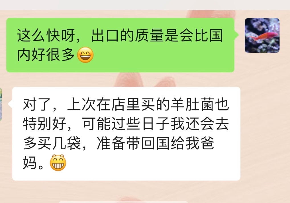 特级羊肚菌大号 半磅/包 买1包送1包