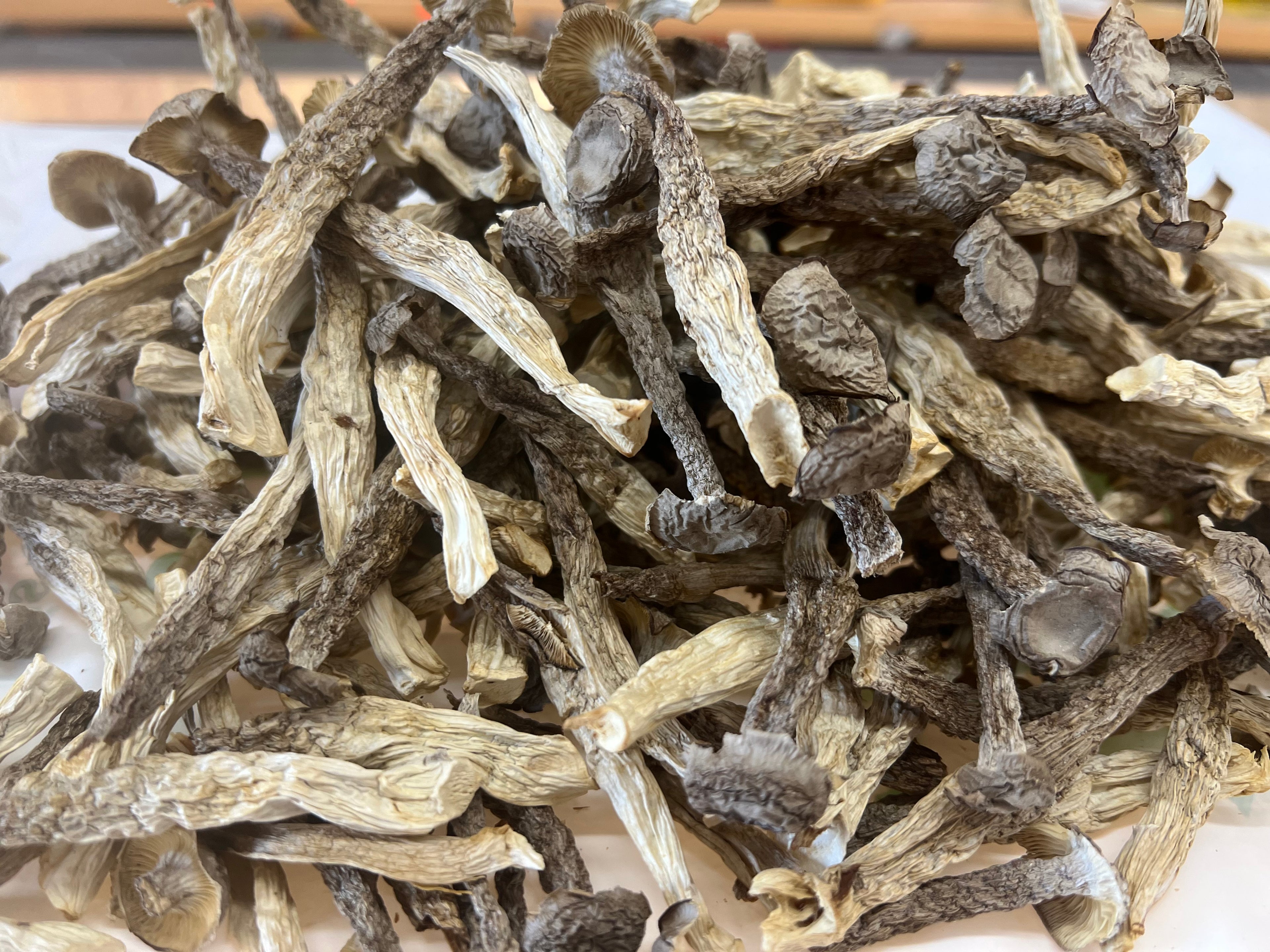 鹿茸菇 半磅/包