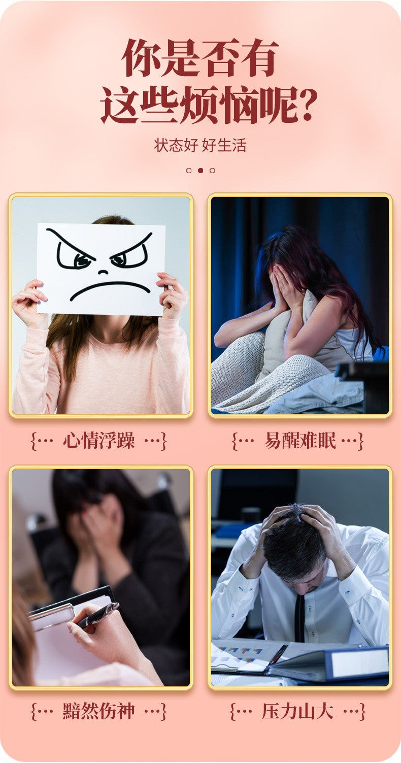 甘麦大枣汤480克（30小包）