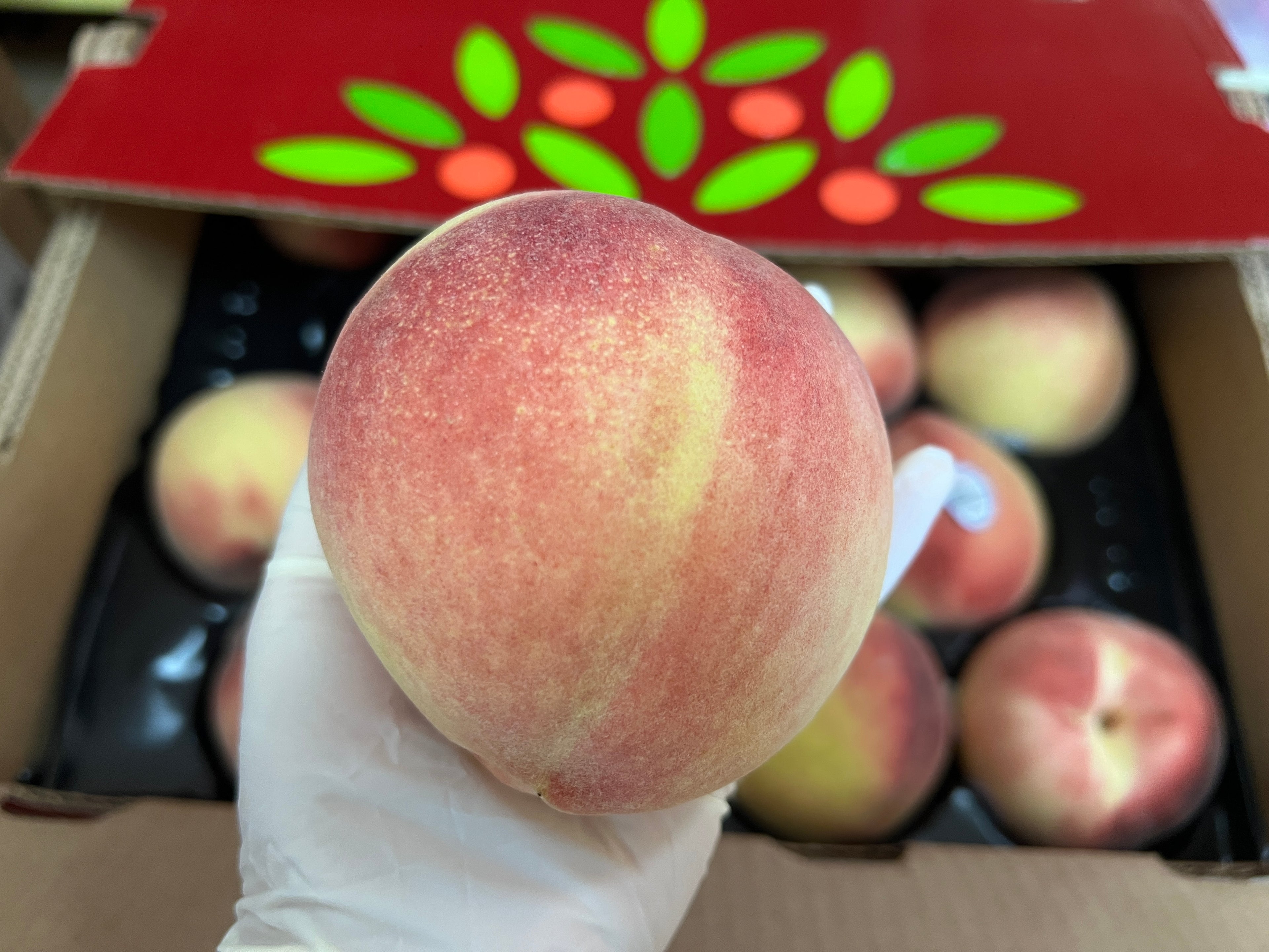 Family Tree品牌大白桃约十磅15-16个/箱 （店里自取）