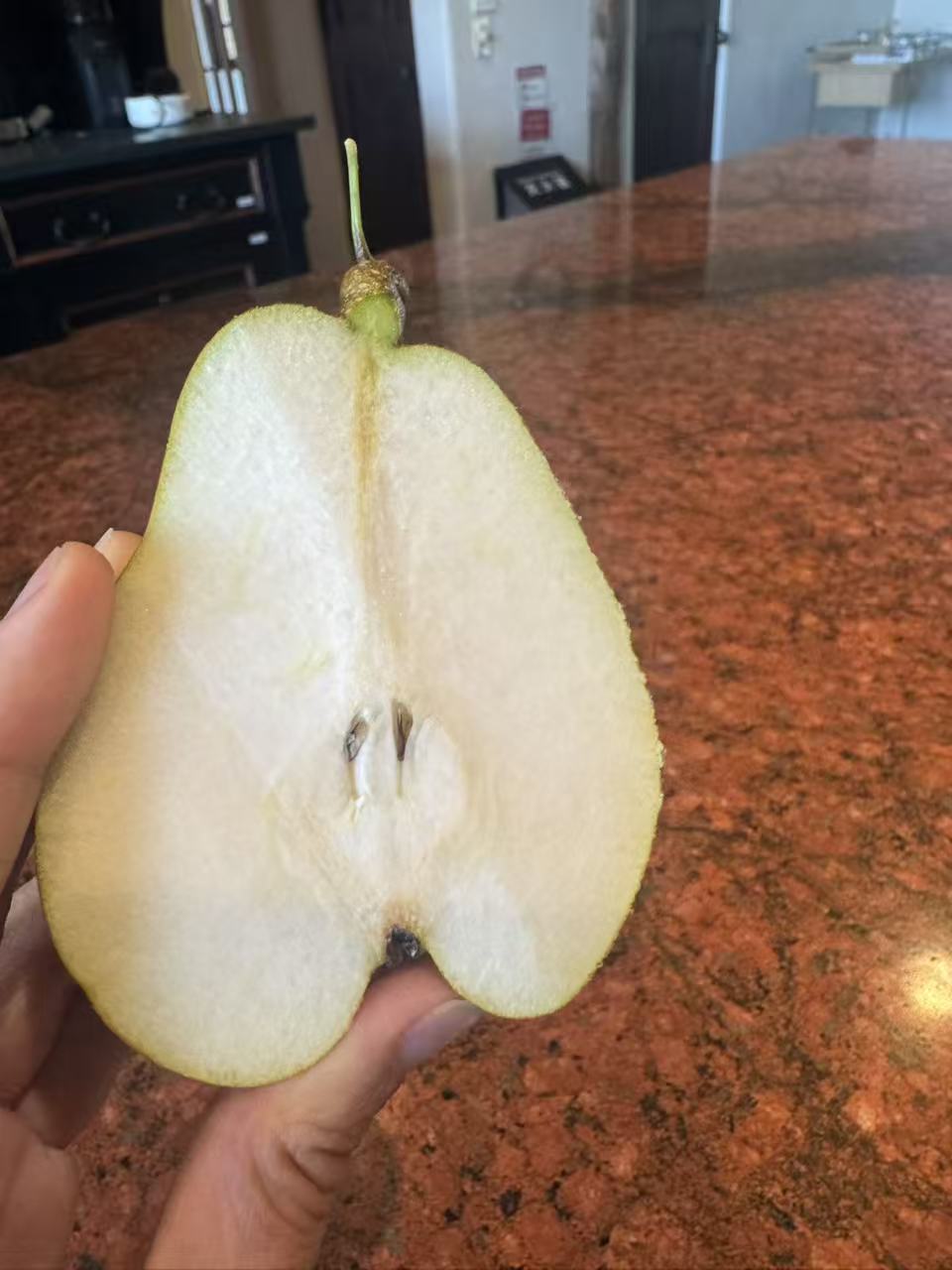 农场有机新鲜采摘西洋梨Bosc Pear 10磅/份