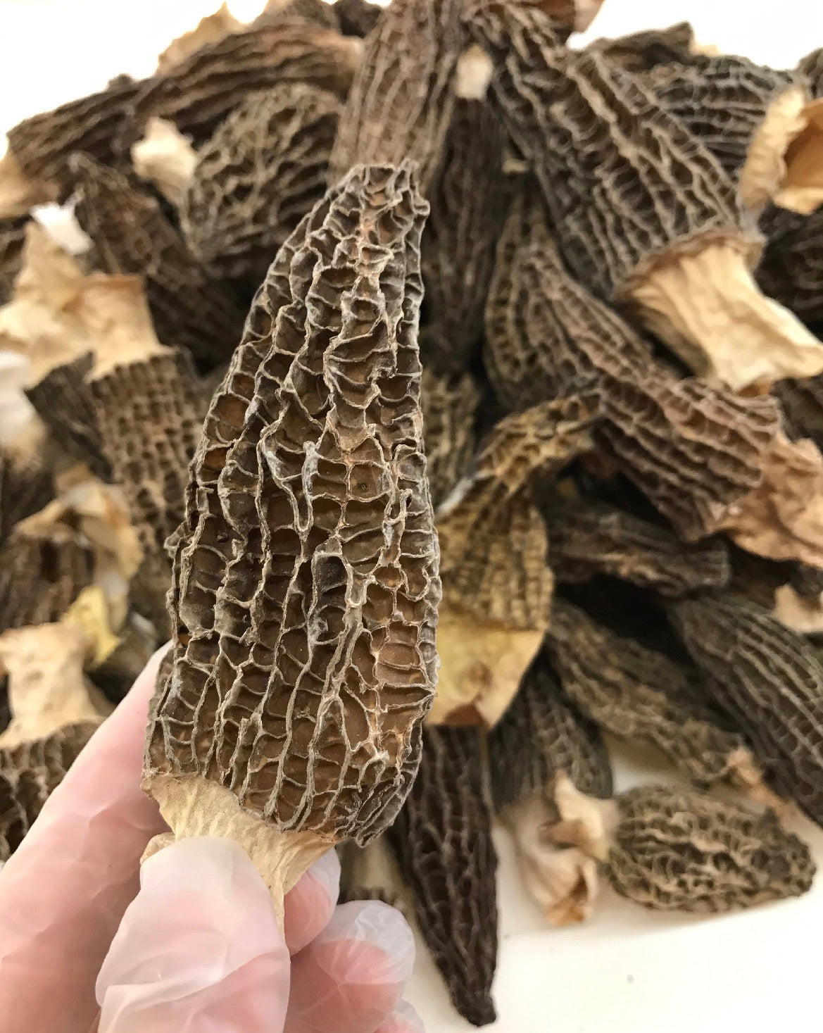 老字号品牌香港荣华 Wing Wah「双黄五仁月饼」，规格 740g / 26oz，4个装。优惠价含3盒月饼再送1袋价值$128的半磅顶级羊肚菌 (Copy)