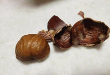 将图片加载到图库查看器，糖炒熟栗子2磅/包，2包/份 4磅
