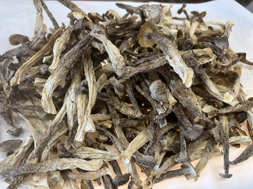 鹿茸菇 半磅/包