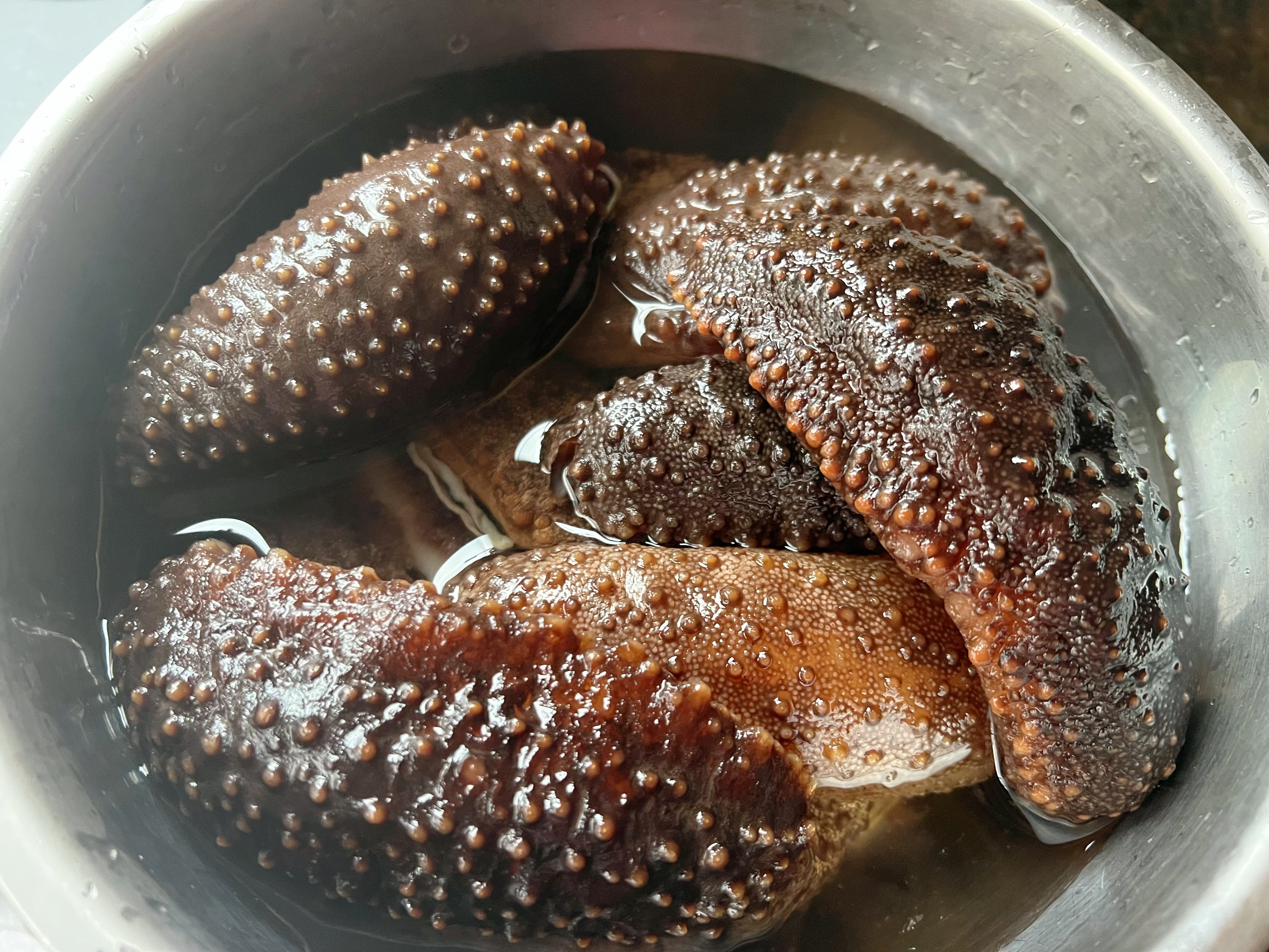 （海参）墨西哥腰参约28-30只