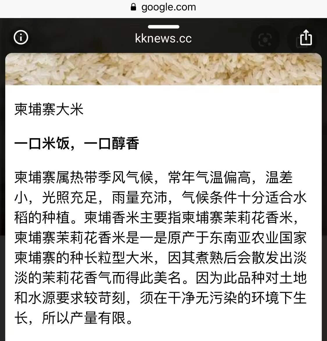 2026年新米 柬埔寨茉莉香米 25磅/袋