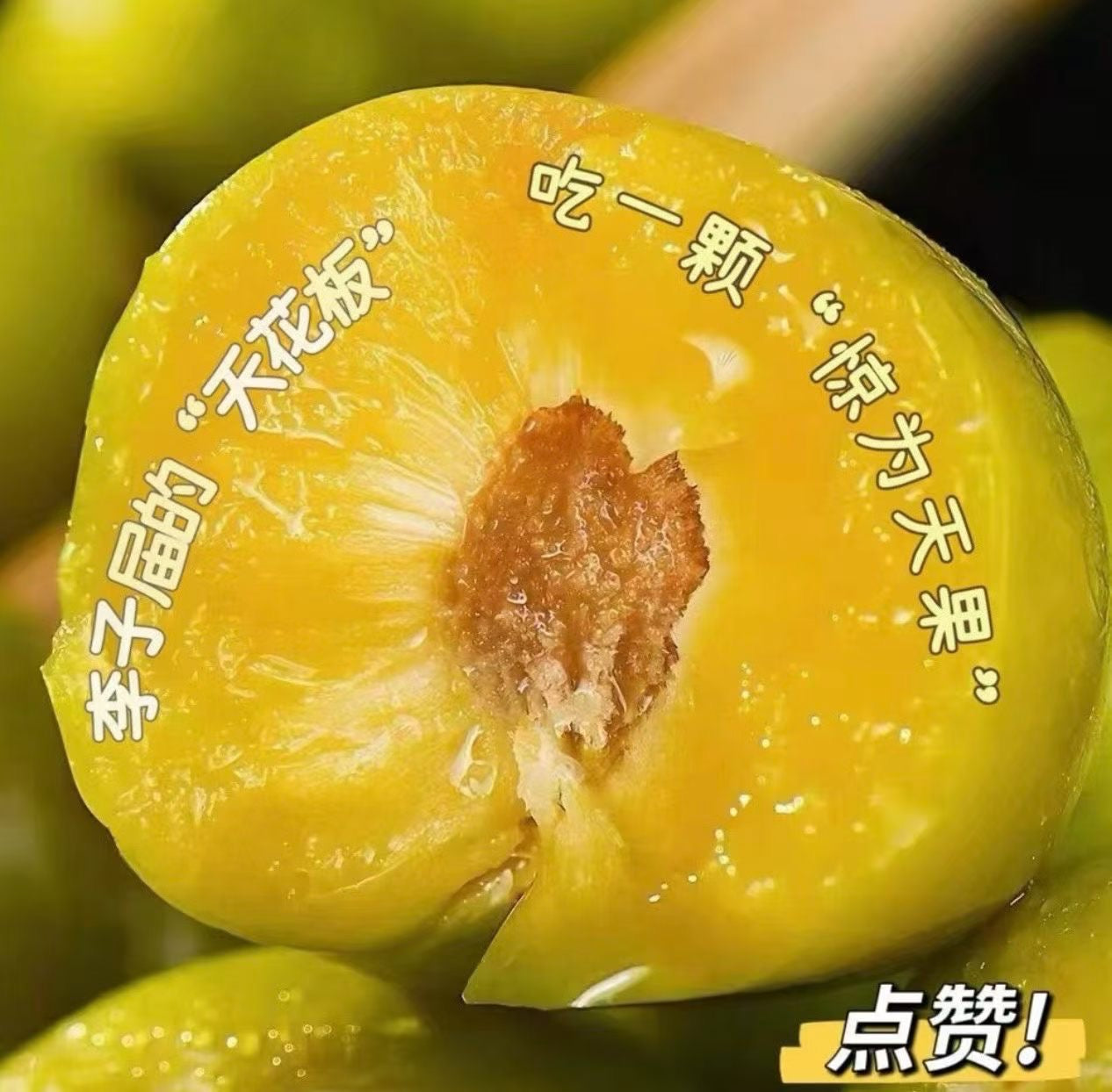 蜂糖李 很脆甜 5磅/份