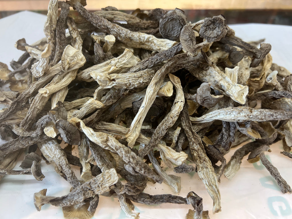 鹿茸菇 半磅/包