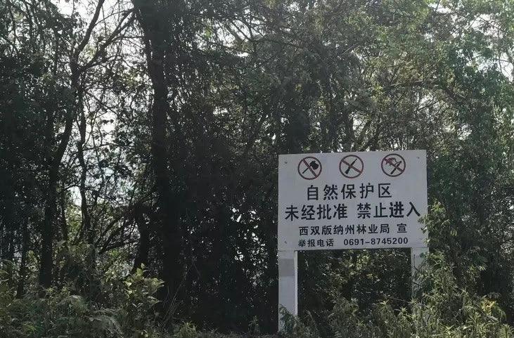 红茶 古树晒红.初心 200克/饼