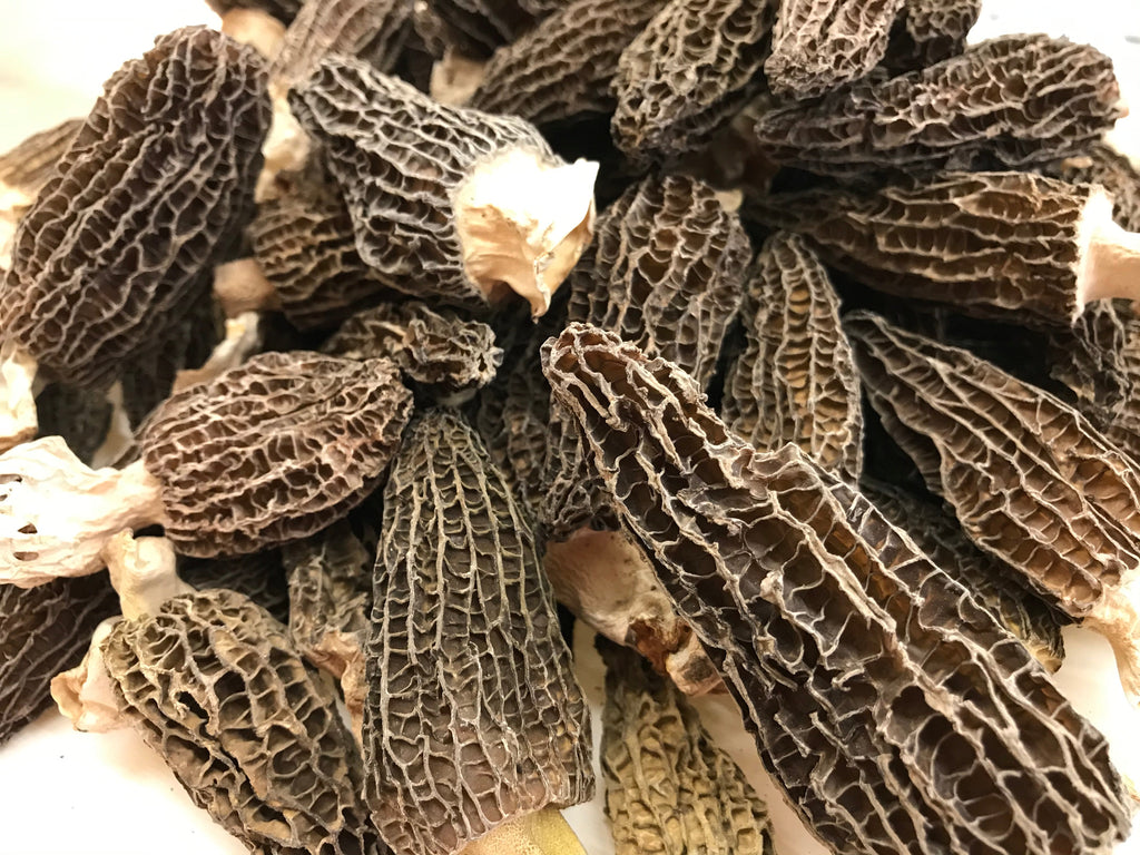 特级羊肚菌大号 半磅/包