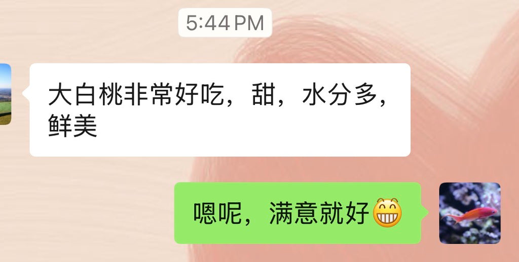 精品大白桃约十磅15-18个/箱