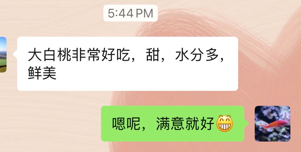 精品大白桃约十磅15-18个/箱